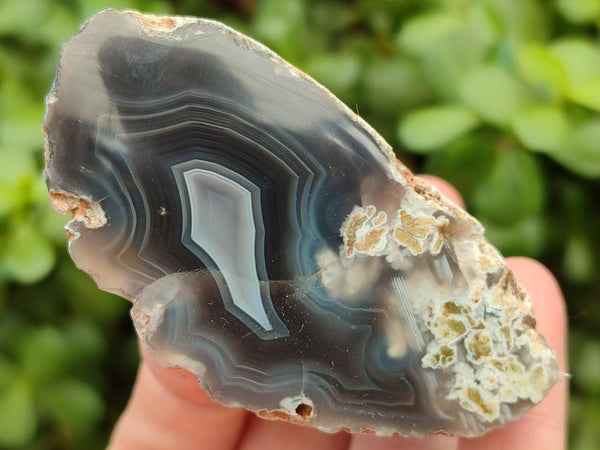 Polished Red Shashe River Agate Nodules x 7 From Shashe River, Zimbabwe