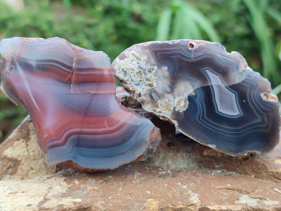 Polished Red Shashe River Agate Nodules x 7 From Shashe River, Zimbabwe