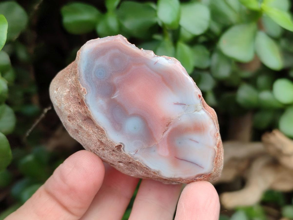 Polished Red Shashe River Agate Nodules x 7 From Shashe River, Zimbabwe