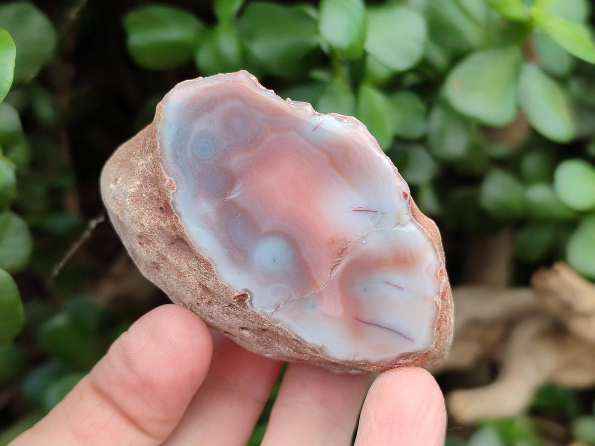 Polished Red Shashe River Agate Nodules x 7 From Shashe River, Zimbabwe