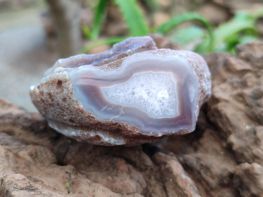 Polished Red Shashe River Agate Nodules x 7 From Shashe River, Zimbabwe