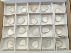 Polished Rock Crystal Hearts x 20 From Amoron’i Mania, Madagascar