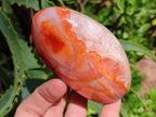 Polished Carnelian Agate Gemstone Standing Free Forms x 4 From Madagascar - Toprock Gemstones and Minerals 