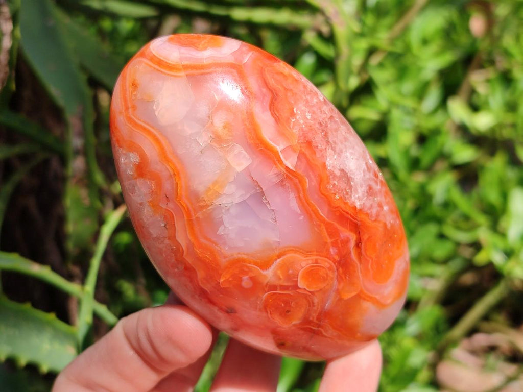 Polished Carnelian Agate Gemstone Standing Free Forms x 4 From Madagascar - Toprock Gemstones and Minerals 