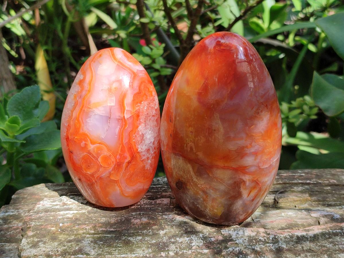 Polished Carnelian Agate Gemstone Standing Free Forms x 4 From Madagascar
