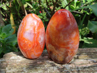 Polished Carnelian Agate Gemstone Standing Free Forms x 4 From Madagascar