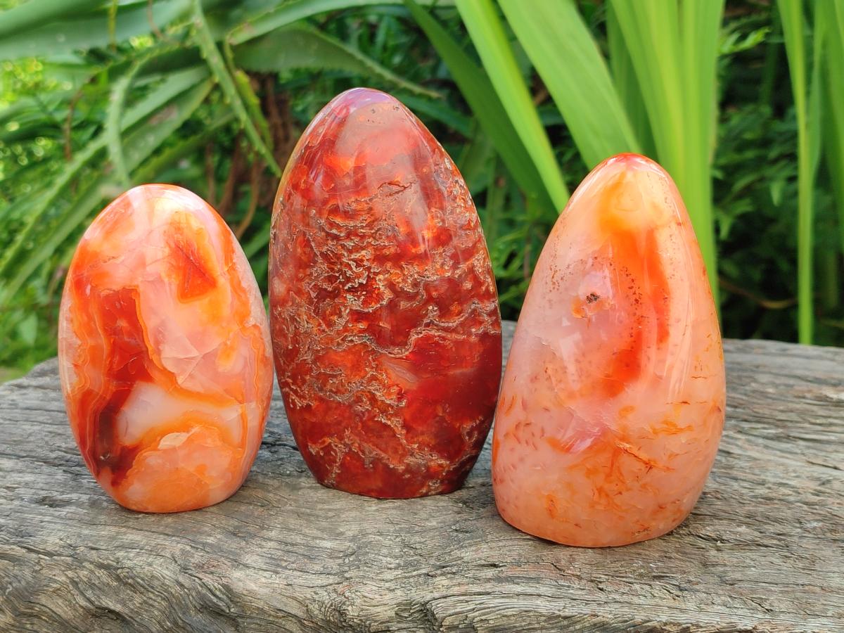 Polished Carnelian Agate Gemstone Standing Free Forms x 4 From Madagascar - Toprock Gemstones and Minerals 