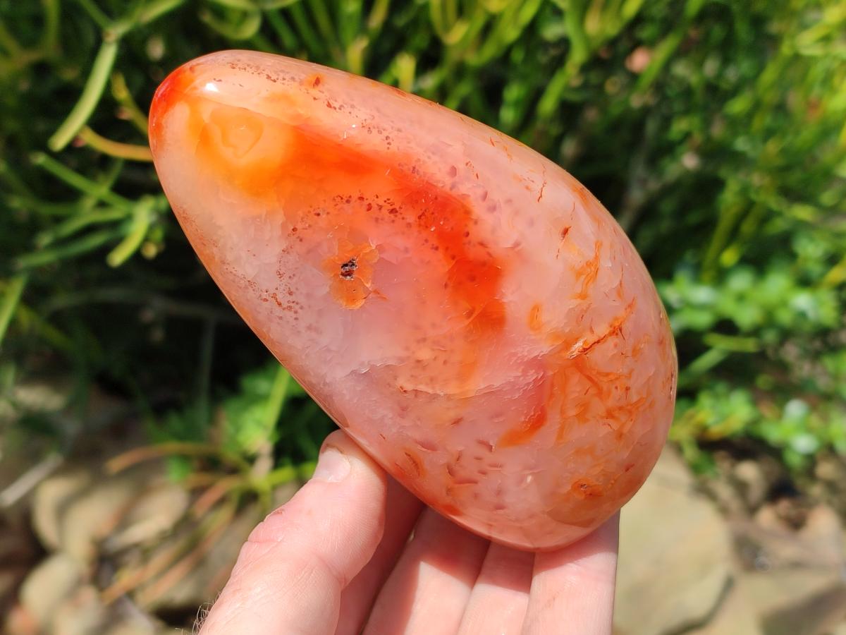 Polished Carnelian Agate Gemstone Standing Free Forms x 4 From Madagascar