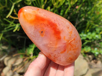 Polished Carnelian Agate Gemstone Standing Free Forms x 4 From Madagascar