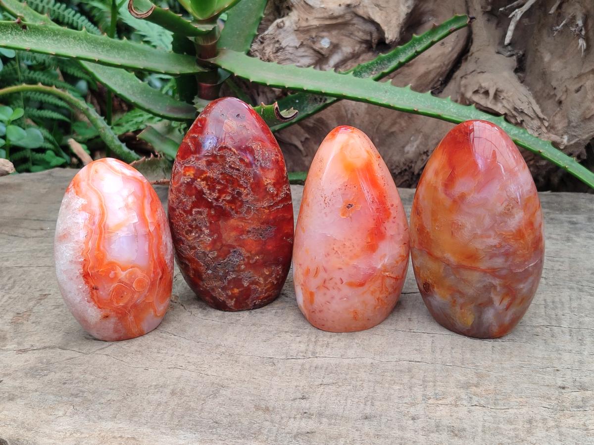 Polished Carnelian Agate Gemstone Standing Free Forms x 4 From Madagascar
