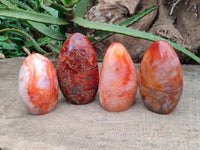 Polished Carnelian Agate Gemstone Standing Free Forms x 4 From Madagascar