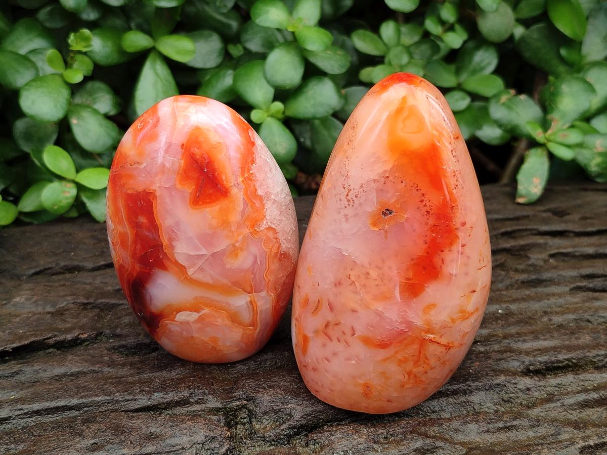 Polished Carnelian Agate Gemstone Standing Free Forms x 4 From Madagascar