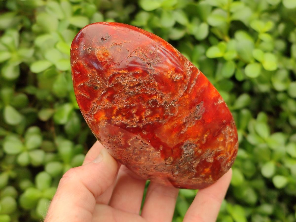 Polished Carnelian Agate Gemstone Standing Free Forms x 4 From Madagascar