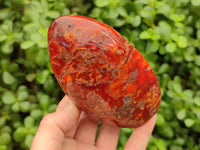 Polished Carnelian Agate Gemstone Standing Free Forms x 4 From Madagascar