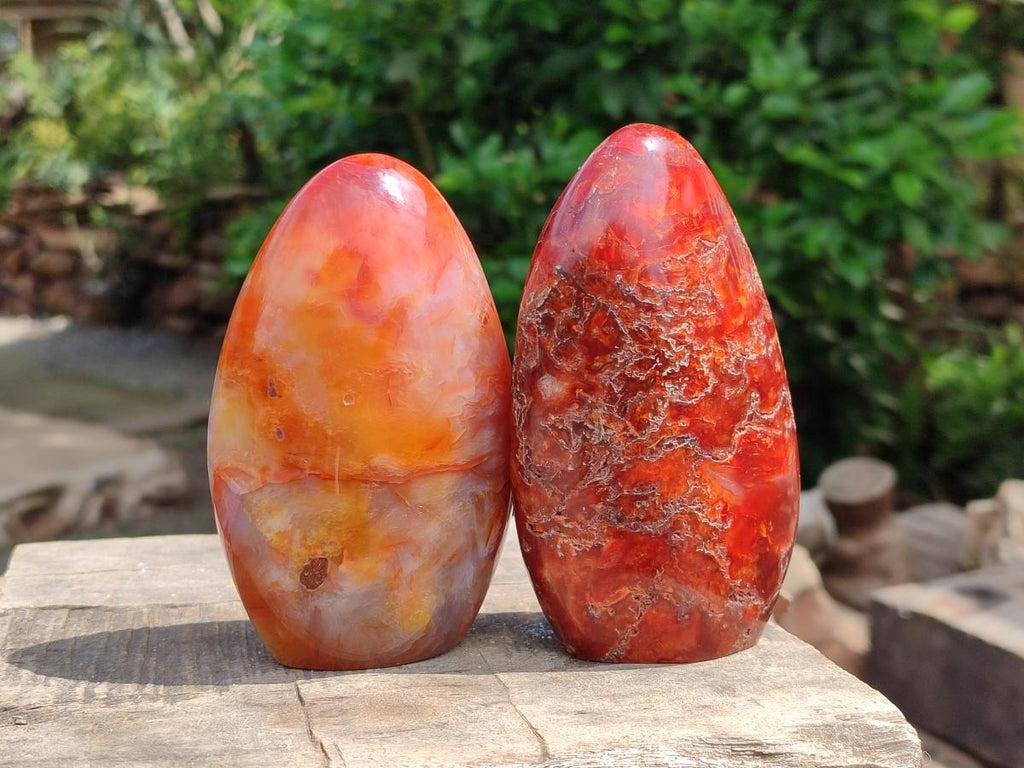 Polished Carnelian Agate Gemstone Standing Free Forms x 4 From Madagascar - Toprock Gemstones and Minerals 