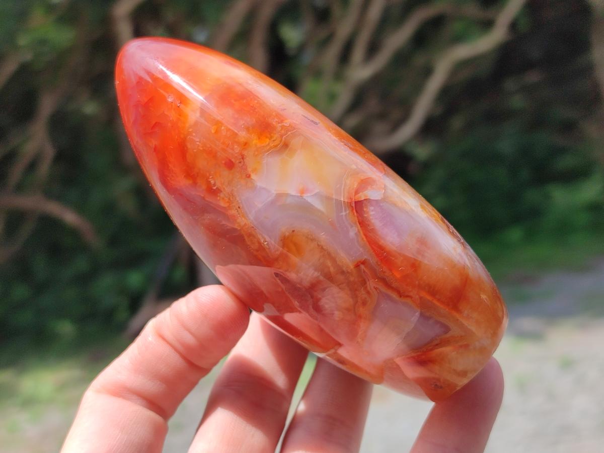 Polished Carnelian Agate Gemstone Standing Free Forms x 4 From Madagascar