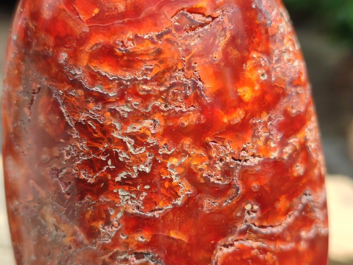 Polished Carnelian Agate Gemstone Standing Free Forms x 4 From Madagascar