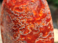 Polished Carnelian Agate Gemstone Standing Free Forms x 4 From Madagascar