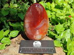 Polished Carnelian Agate Gemstone Standing Free Forms x 4 From Madagascar - Toprock Gemstones and Minerals 