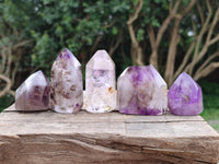 Polished Window Amethyst Crystals x 12 From Akansobe, Madagascar
