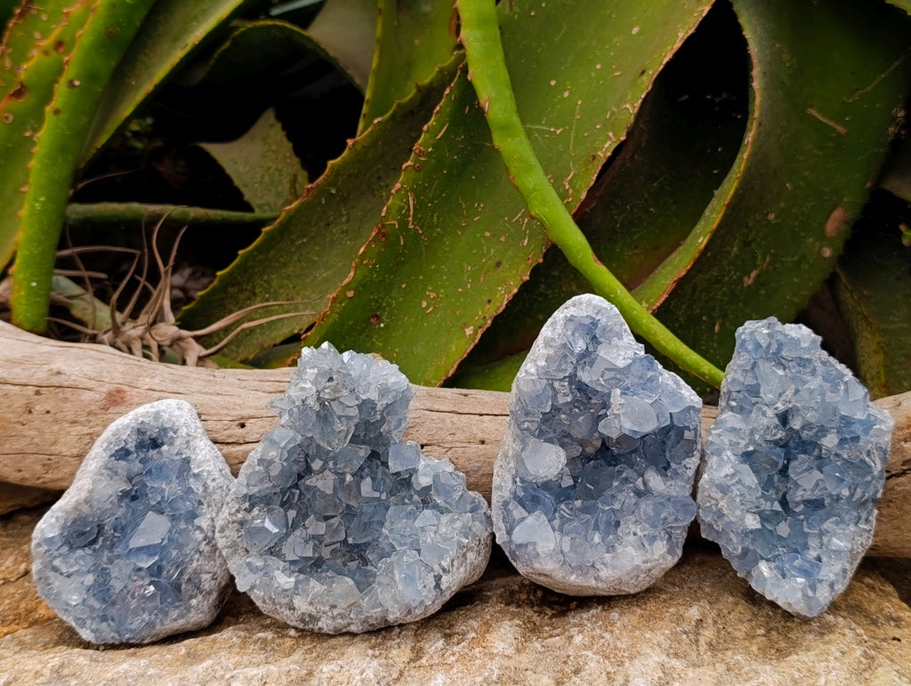 Natural Blue Celestite Geode Specimens x 4 From Sakoany, Madagascar