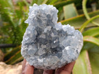Natural Blue Celestite Geode Specimens x 4 From Sakoany, Madagascar