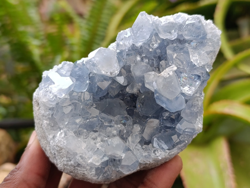Natural Blue Celestite Geode Specimens x 4 From Sakoany, Madagascar