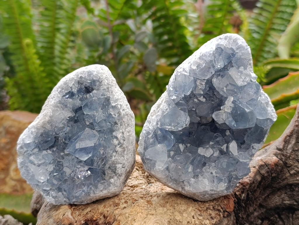 Natural Blue Celestite Geode Specimens x 4 From Sakoany, Madagascar