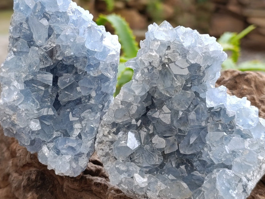 Natural Blue Celestite Geode Specimens x 4 From Sakoany, Madagascar