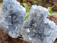 Natural Blue Celestite Geode Specimens x 4 From Sakoany, Madagascar
