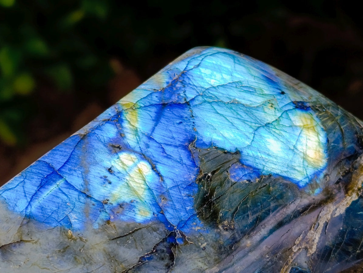 Polished Labradorite Standing Free Forms x 2 From Madagascar