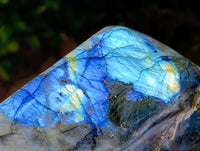 Polished Labradorite Standing Free Forms x 2 From Madagascar