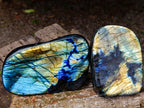 Polished Labradorite Standing Free Forms x 2 From Madagascar