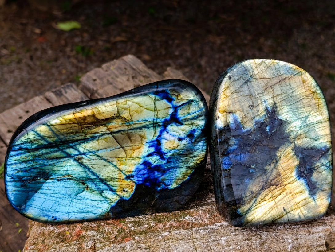 Polished Labradorite Standing Free Forms x 2 From Madagascar