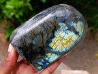 Polished Labradorite Standing Free Forms x 2 From Madagascar