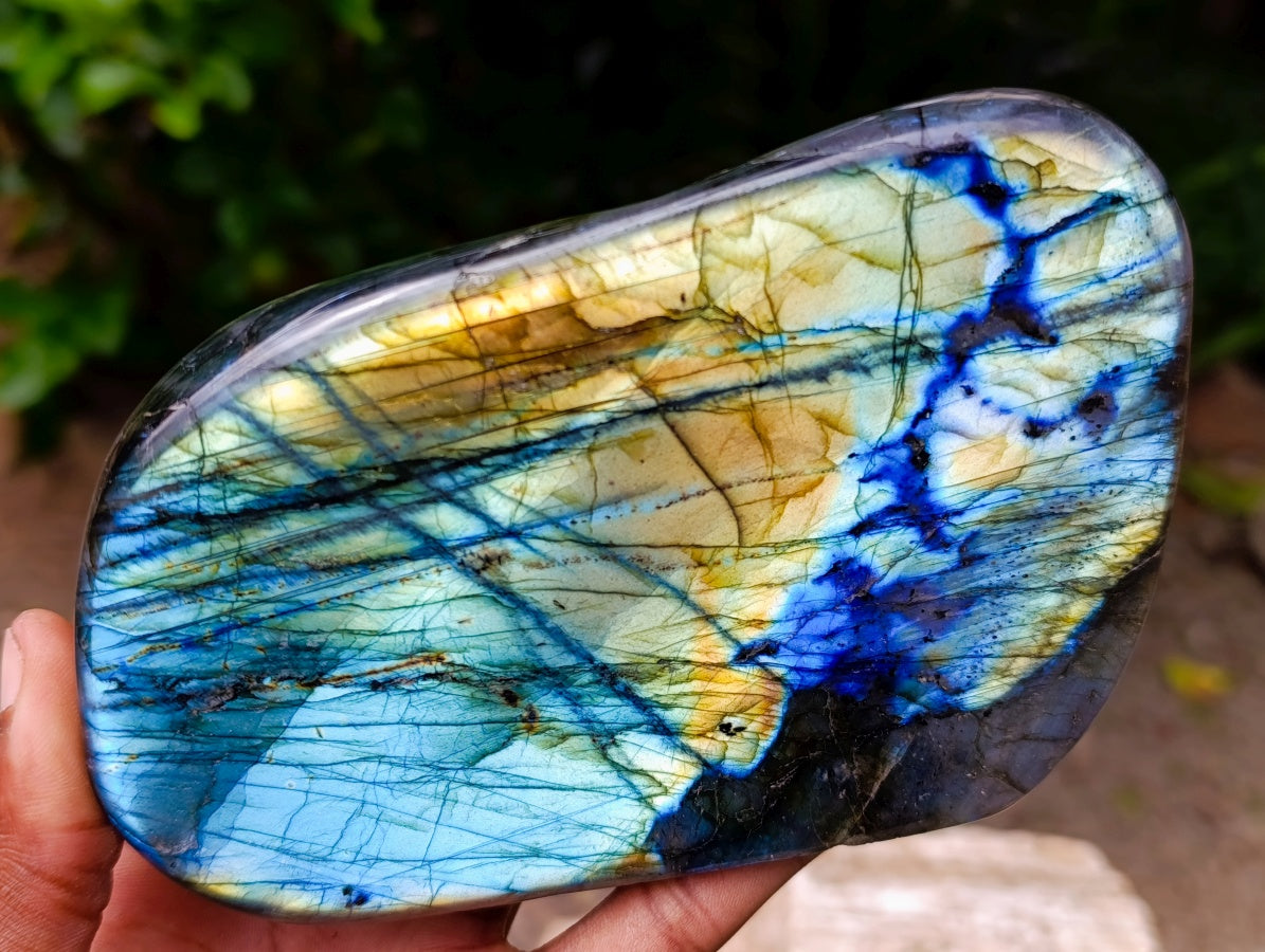 Polished Labradorite Standing Free Forms x 2 From Madagascar