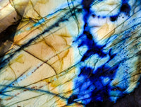 Polished Labradorite Standing Free Forms x 2 From Madagascar