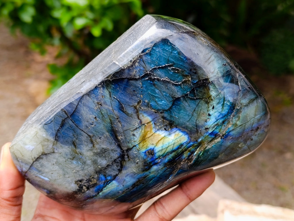 Polished Labradorite Standing Free Forms x 2 From Madagascar