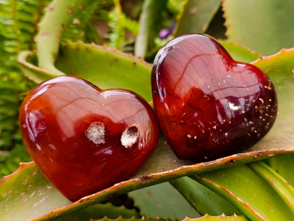 Polished Carnelian Agate Gemstone Hearts x 6 From Madagascar - Toprock Gemstones and Minerals 