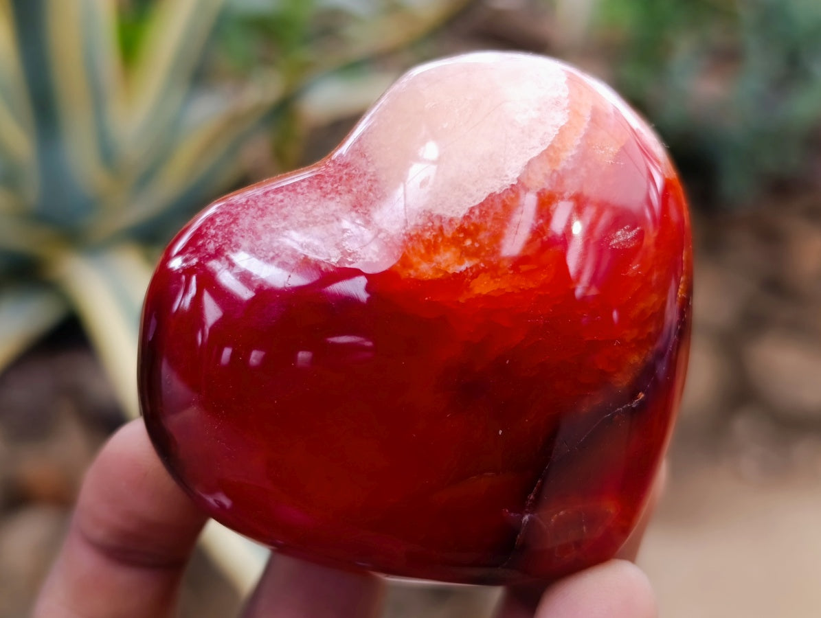 Polished Carnelian Agate Gemstone Hearts x 6 From Madagascar