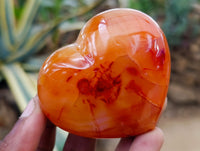 Polished Carnelian Agate Gemstone Hearts x 6 From Madagascar