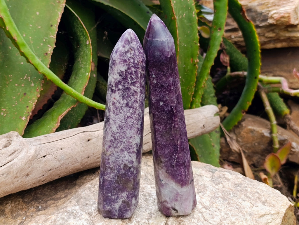 Polished Lepidolite Display Crystals x 3 From Ambatondrazaka, Madagascar