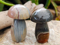 Polished Polychrome Jasper Mushrooms x 6 From NW Coast, Madagascar