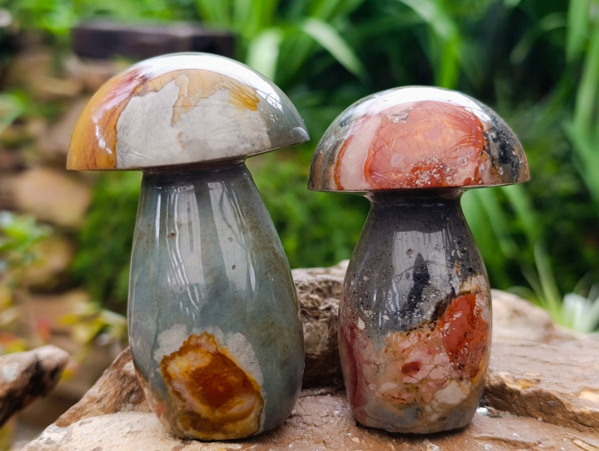 Polished Polychrome Jasper Mushrooms x 6 From NW Coast, Madagascar - Toprock Gemstones and Minerals 