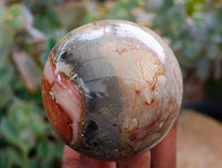 Polished Polychrome Jasper Mushrooms x 6 From NW Coast, Madagascar