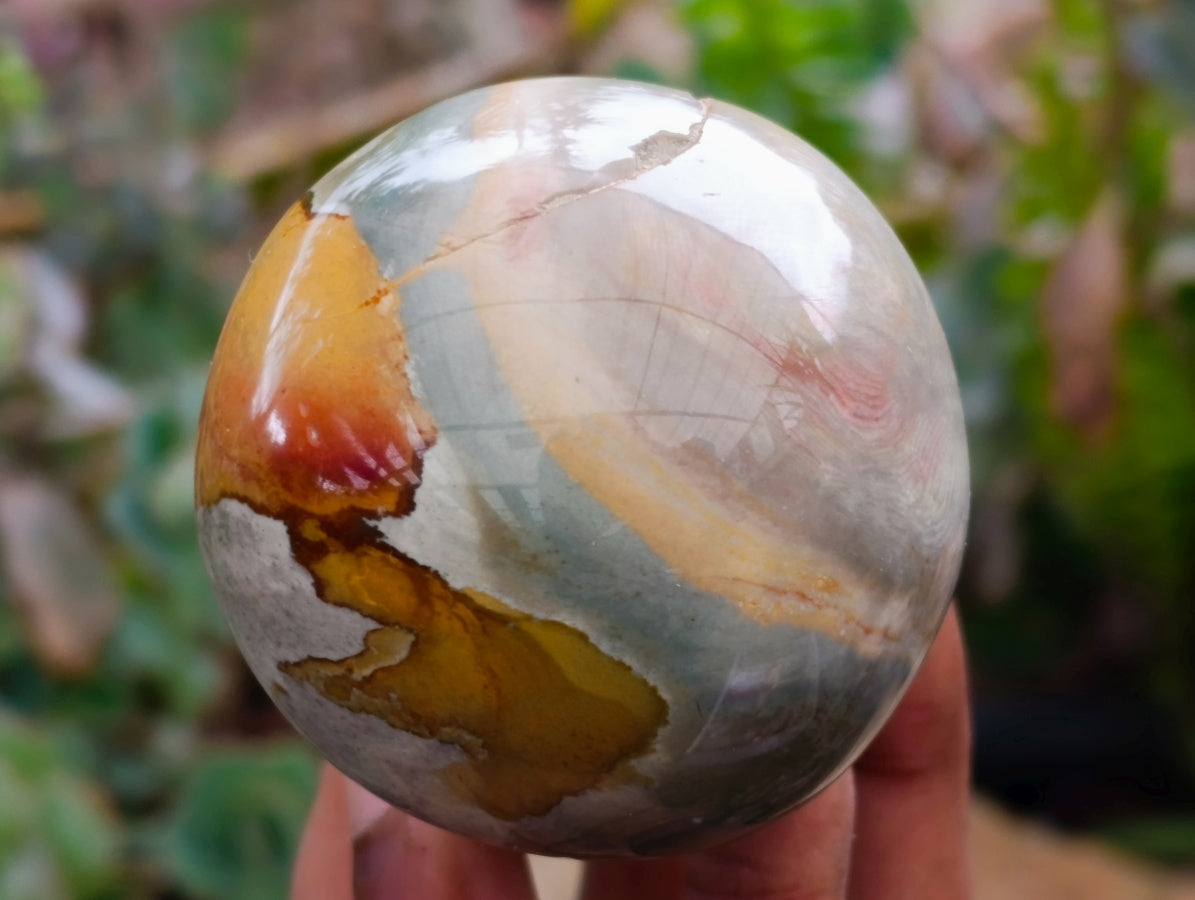 Polished Polychrome Jasper Mushrooms x 6 From NW Coast, Madagascar