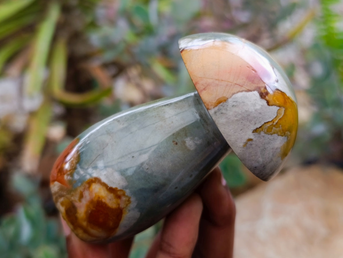 Polished Polychrome Jasper Mushrooms x 6 From NW Coast, Madagascar