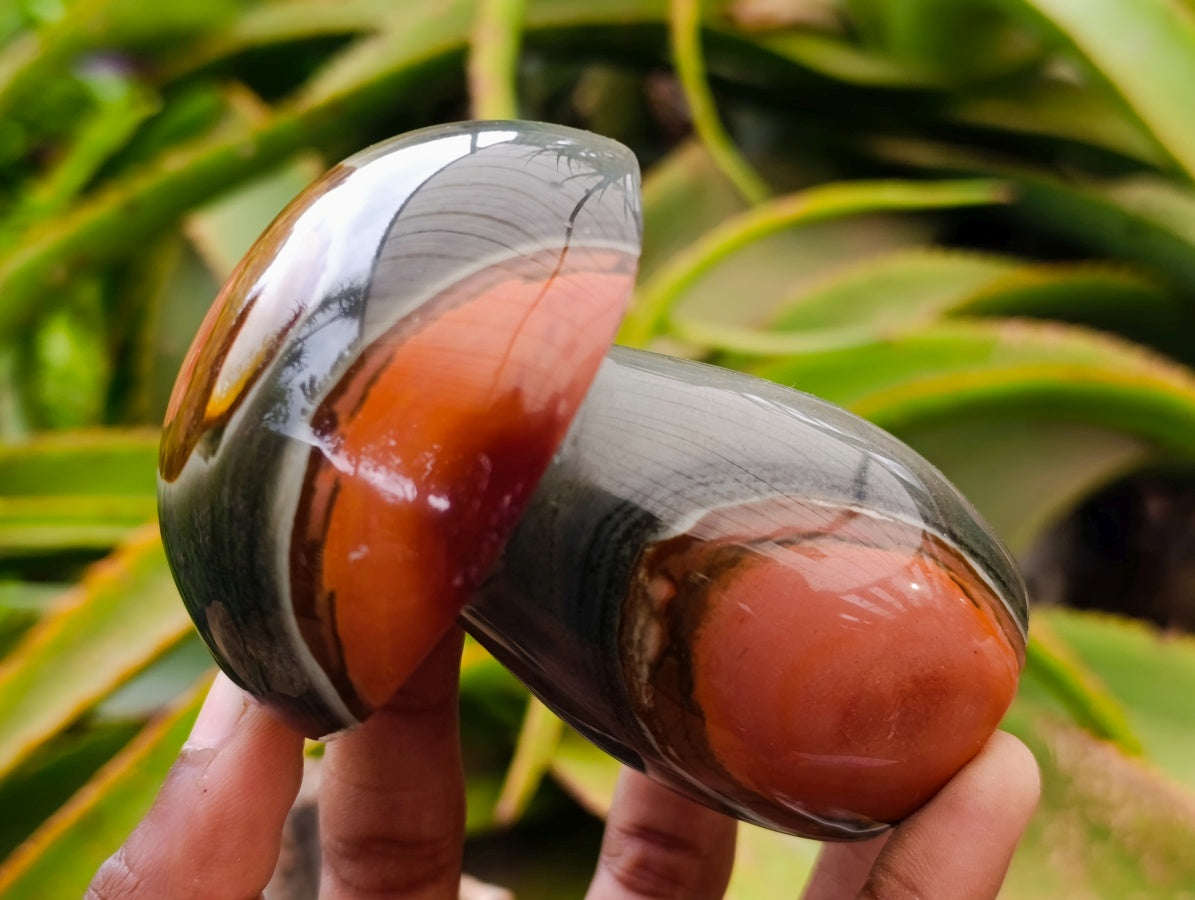 Polished Polychrome Jasper Mushrooms x 6 From NW Coast, Madagascar