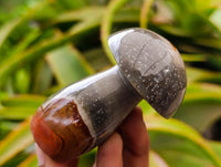 Polished Polychrome Jasper Mushrooms x 6 From NW Coast, Madagascar