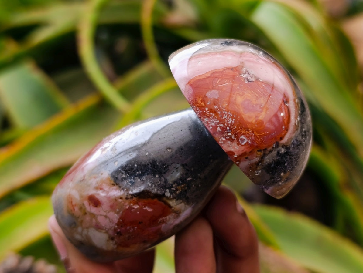 Polished Polychrome Jasper Mushrooms x 6 From NW Coast, Madagascar